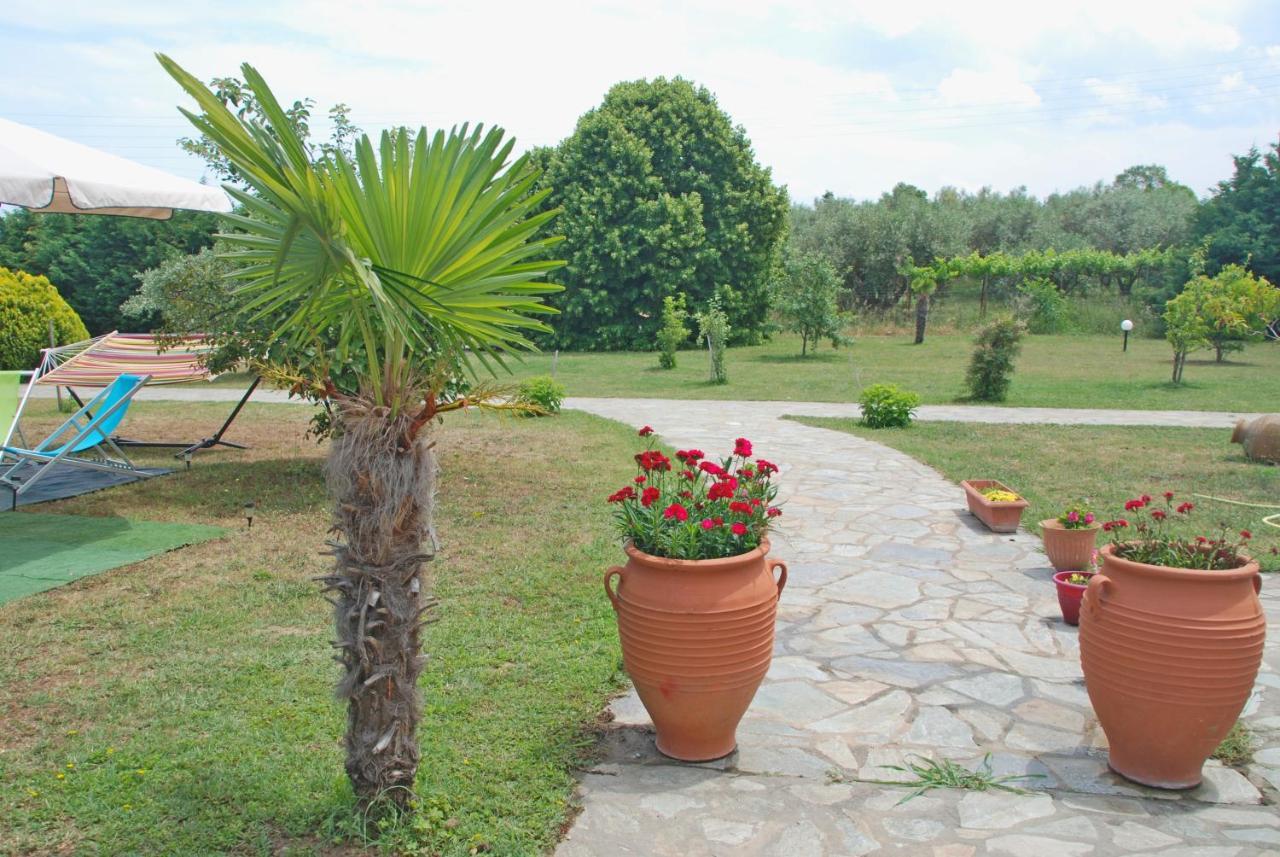 Casa Consta Olympus Ferienhaus Litochoro