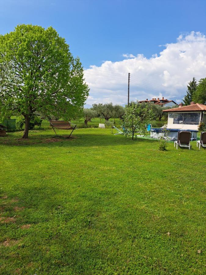 Casa Consta Olympus