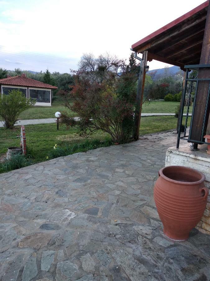 Casa Consta Olympus
